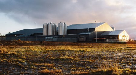 ellon-brewery.jpg