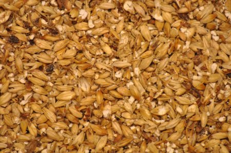 milled_malted_barley.jpg