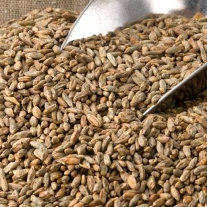 weyermann_rye_malt-500x500.jpg